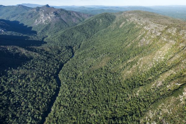 Linville_Gorge_Wilderness_aerial_OPP0997